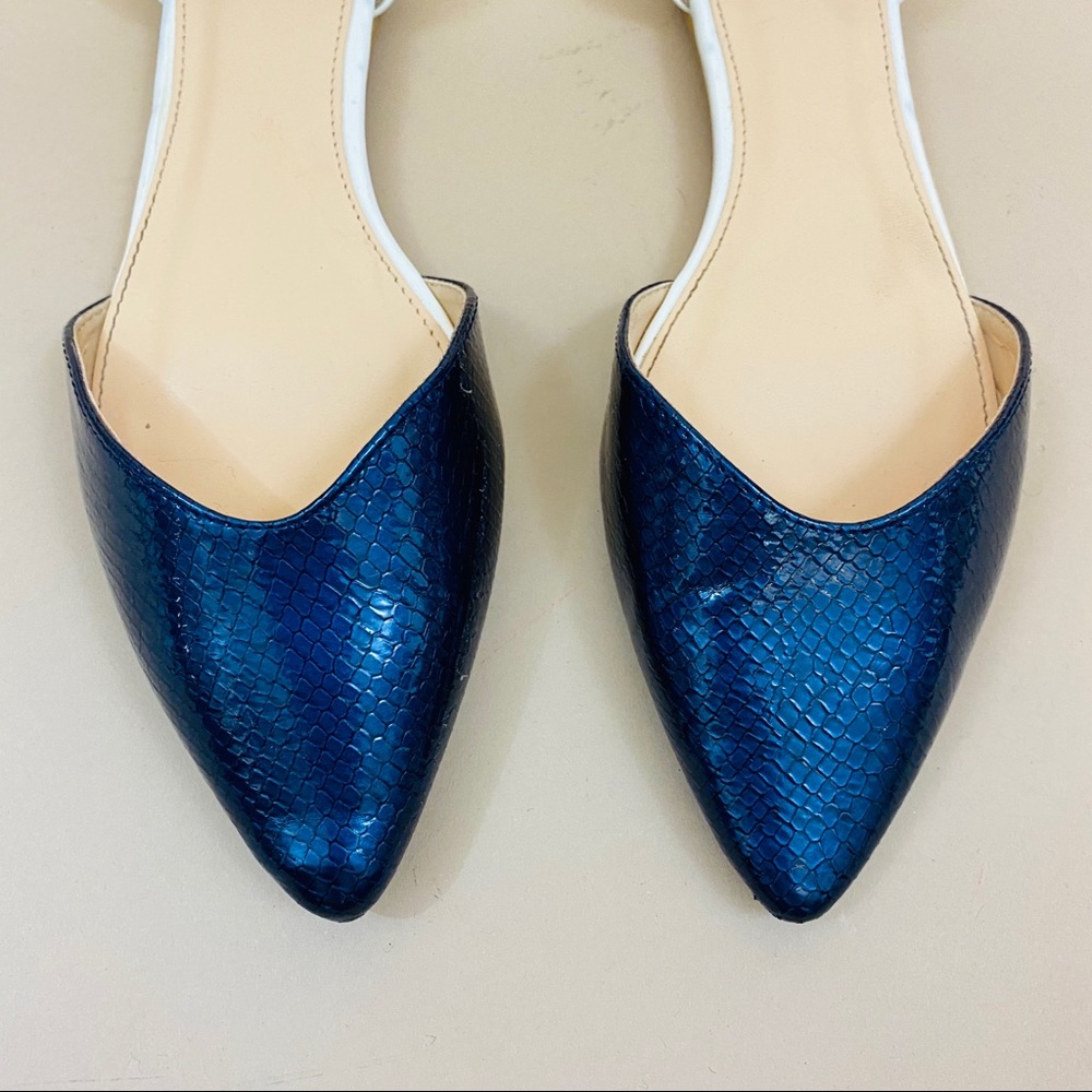 Dooballo Hera Two Tone Pointed Toe Flats 10 - Picture 4 of 9